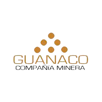 Guanaco
