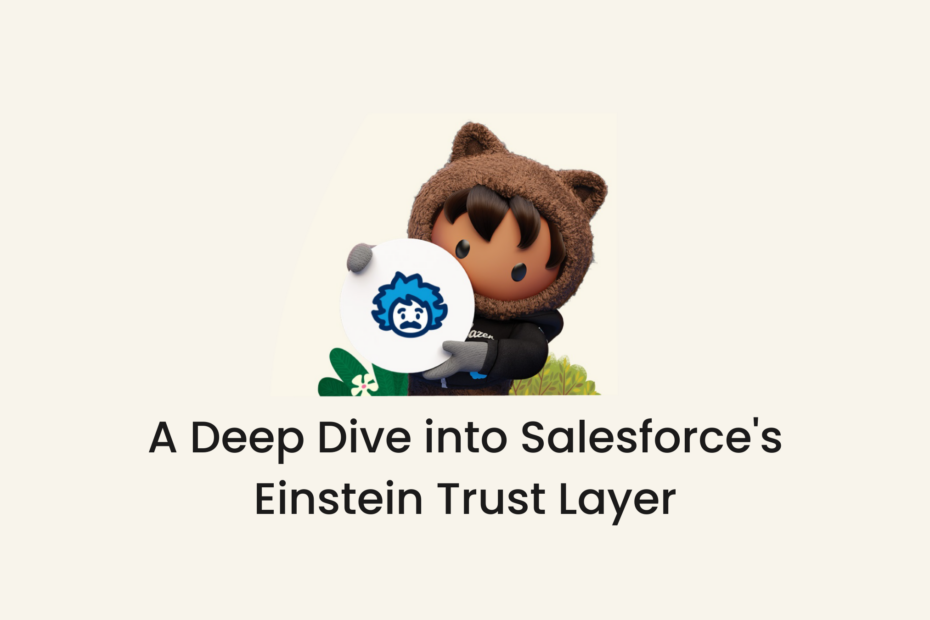 Einstein Trust Layer