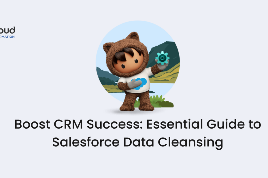 Salesforce Guide Data