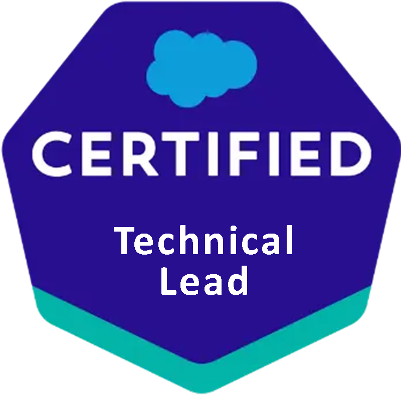 Salesforce Technical lead