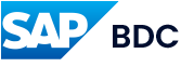 SAP BDC Experts