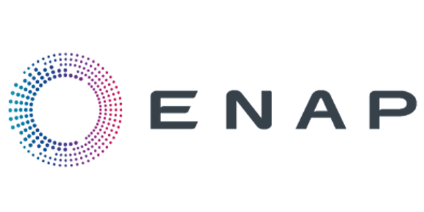 Enap logo